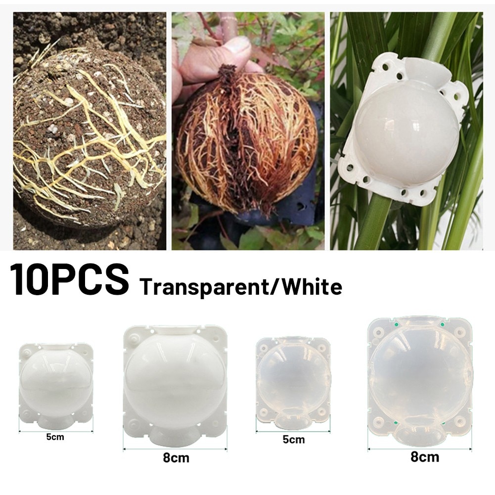 10pcs 5/8CM Plant Rooting Equipmen High Pressure Propagation Ball Graft Breeding Case Plant Root Growing Planting Nursery Ball