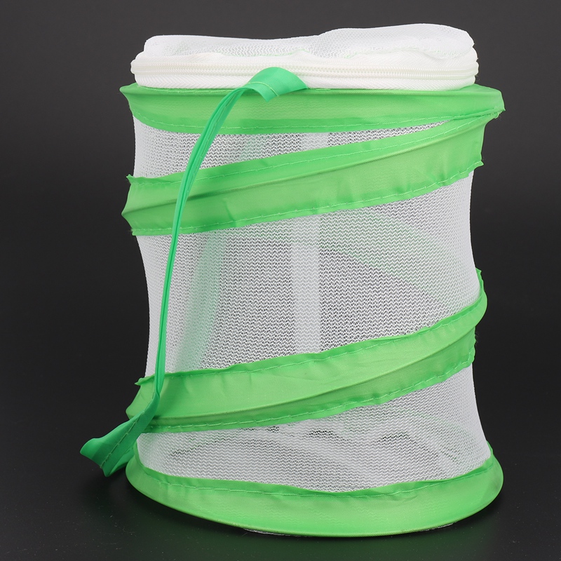 Small Praying Mantis Stick Insect Butterfly -up Cage Housing Enclosure