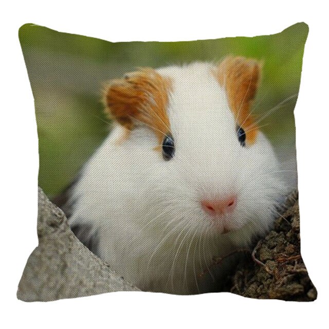 XUNYU świnka morska poszewka na pościel domowa sofa kwadratowa poszewka na poduszkę zwierząt wzór dekoracyjne poszewki na poduszki 45X45cm BZ214: 8