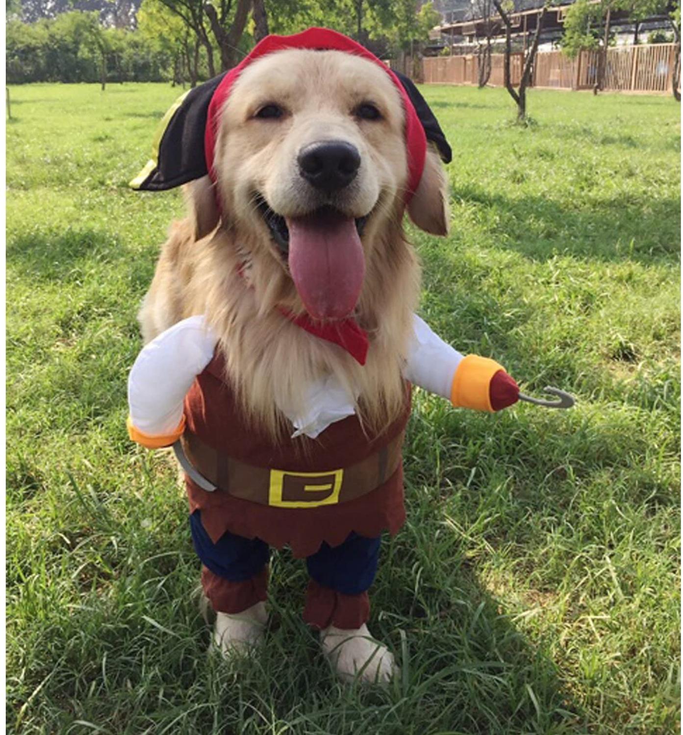 Ropa divertida para mascotas disfraz de pirata para Cosplay perro gato Halloween eventos especiales disfraz ropa para perros pequeños medianos