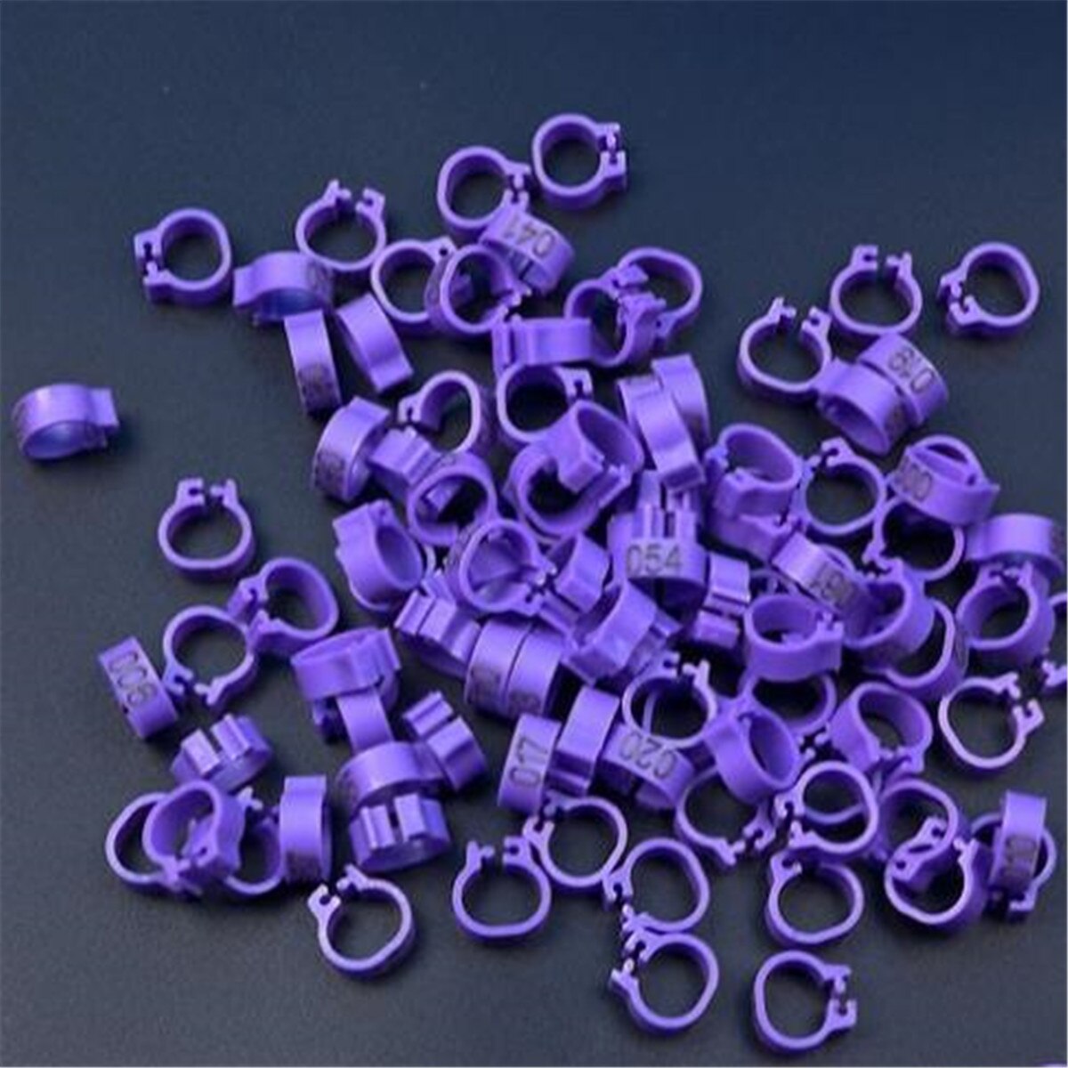 100Pcs Vogel Ringen Been Bands Voor Duif Papegaai Gevogelte Clip Ringen Nummer 1-100: Purple