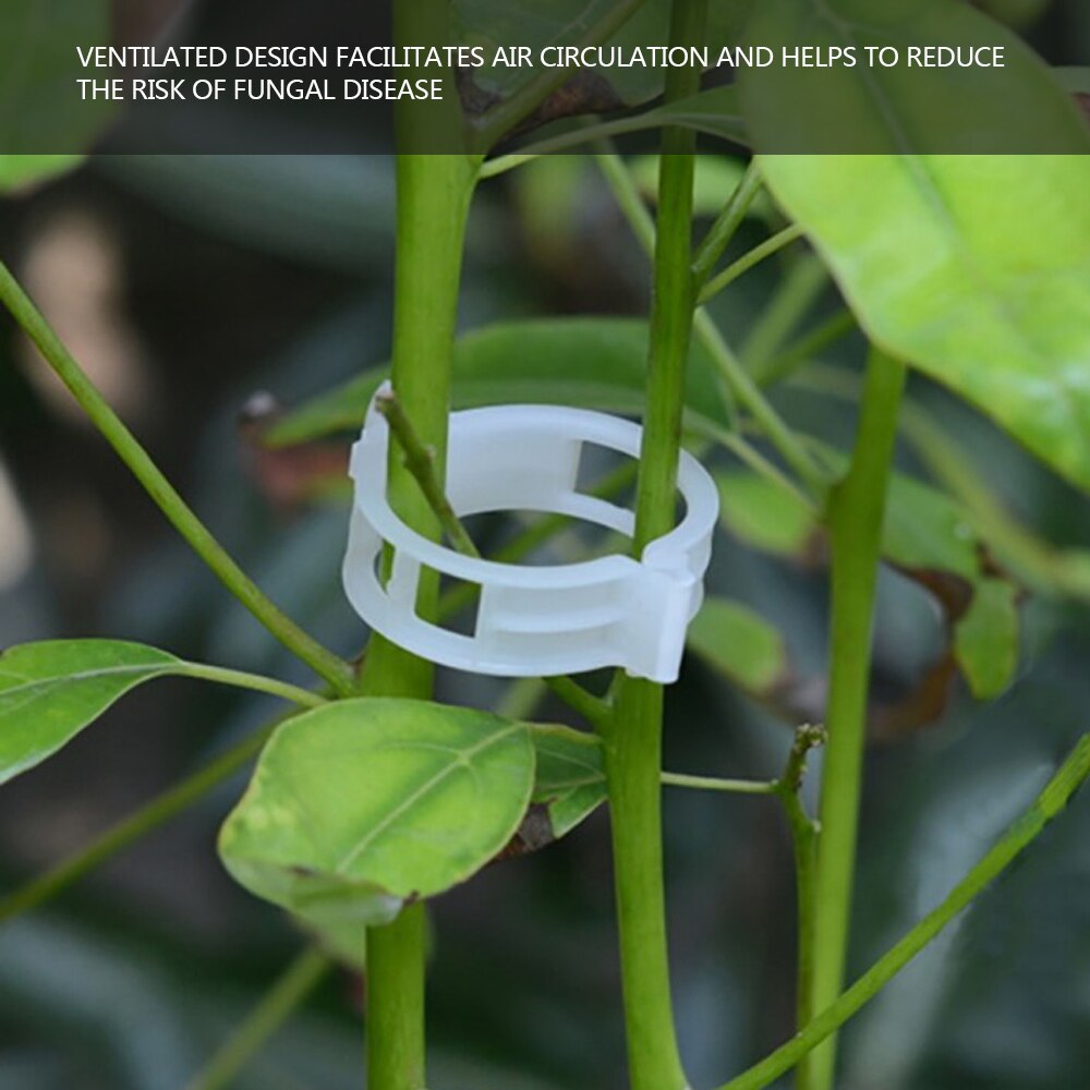 50PC Trellis Tomato Clips Supports Connects Plants Vines Trellis Twine Cages Greenhouse Veggie Garden Plant Clip