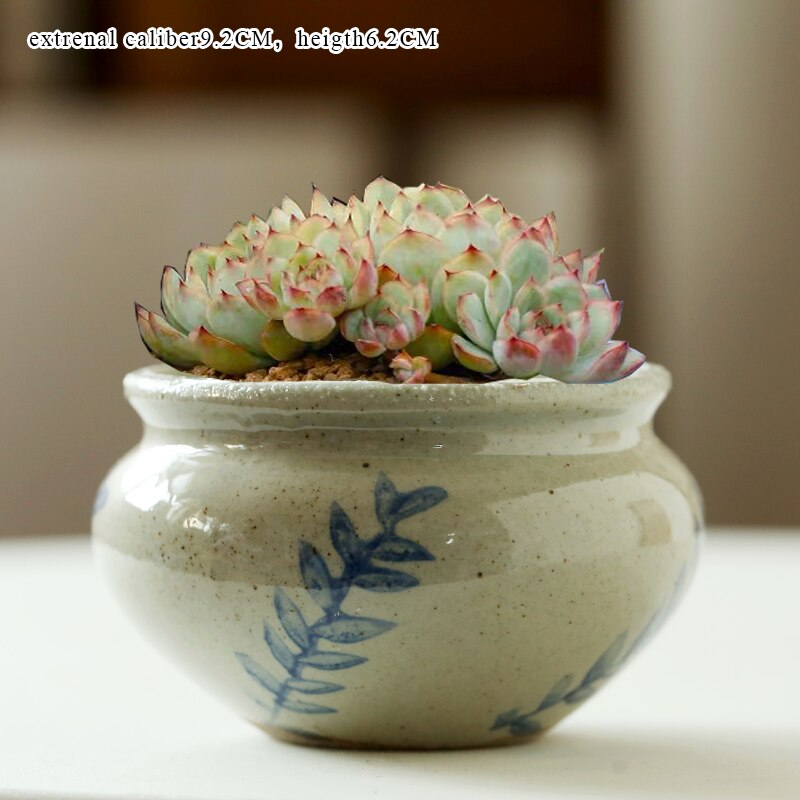 Flower Pots Blue-and-White Porcelain Succulent Cactus Pots Plant Garden Ceramic Planter Pots Outdoor Garden Home