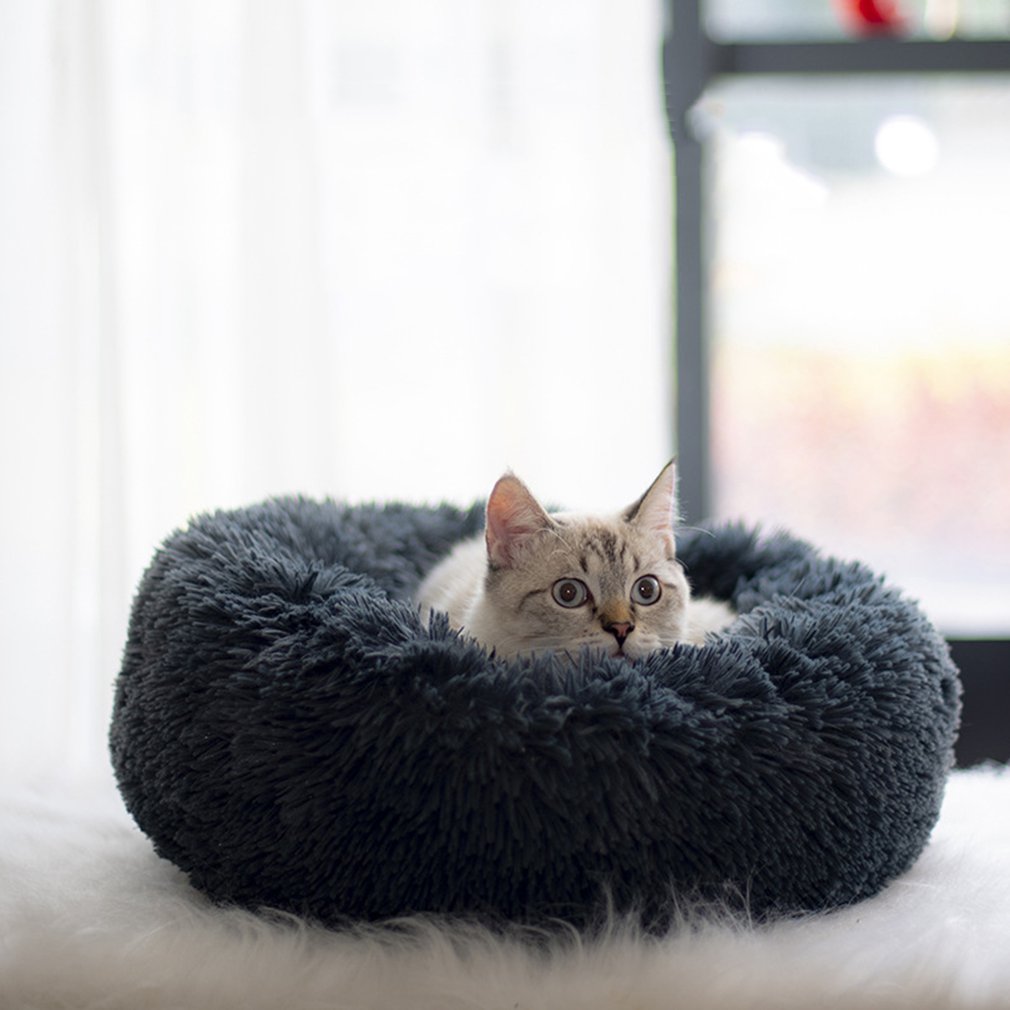 Autumn And Winter Thickening South Korean Plush Round Pet Nest Mat Cat Litter Kennel Small And Medium Cloth Pet Nest: Teal color / S