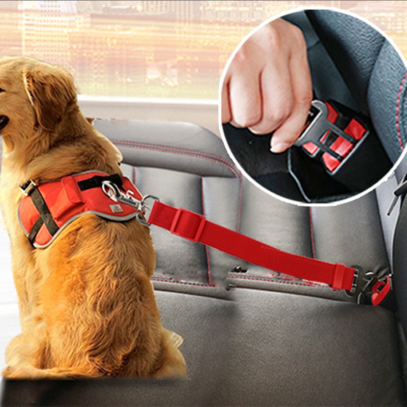 1Pcs Lead Leash Reizen Clip Dierbenodigdheden Harnas Nylon/Abs/Legering Voor Kleine Middelgrote Honden Veiligheidsgordel Pure kleur Verstelbare