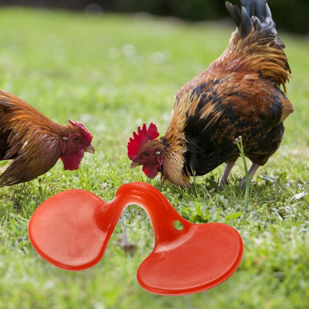 1 Set Poultry Glasses Simple Installation Lightweight Chicken Eyeglasses Pheasant Blinders Set