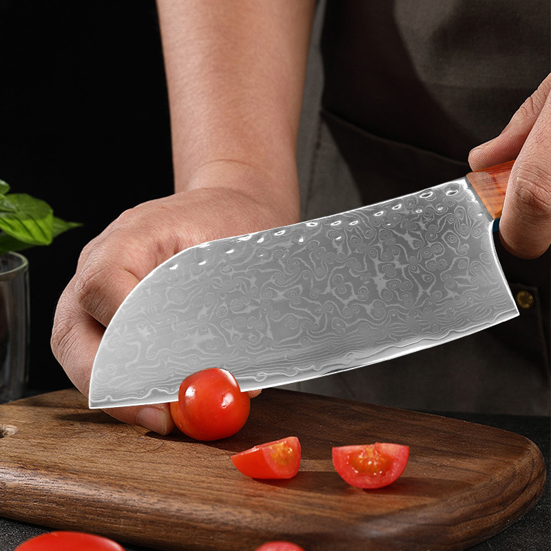 Cuchilla de cocina de acero damasco de 67 capas, cuchillo de Chef japonés, cuchillo Santoku para cortar, cuchillo para Sushi, herramientas de cocina profesionales