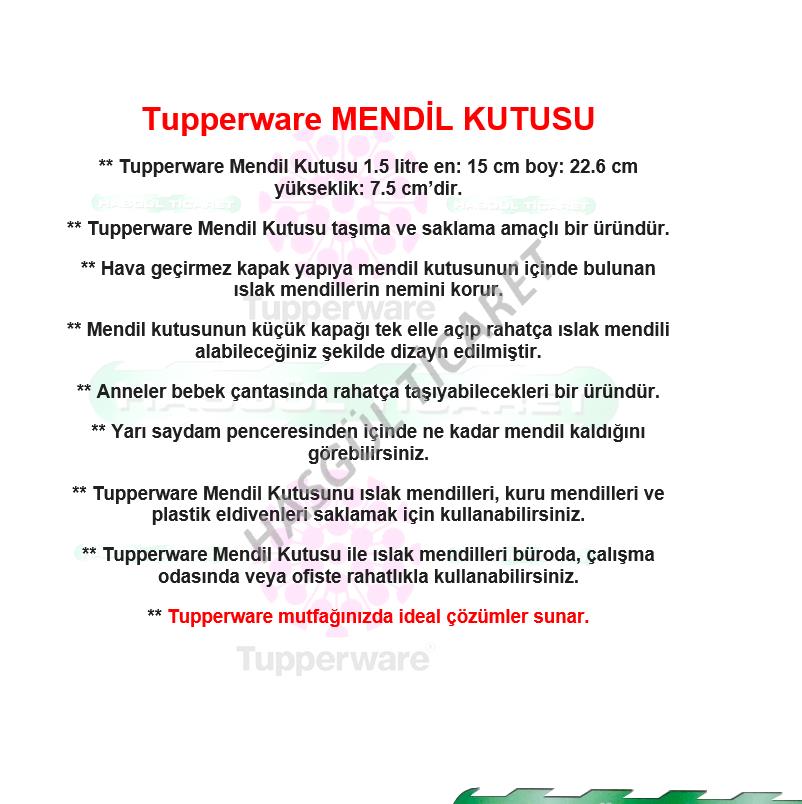 Tupperware lingettes boîte grande lingettes humides boîte HSGL