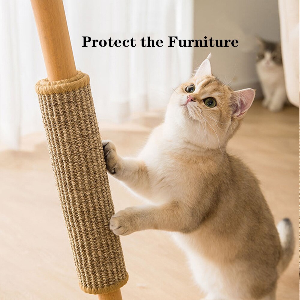 Trixie Cat Activity Adventure Carpet ▻ Pak je voordeel vandaag nog