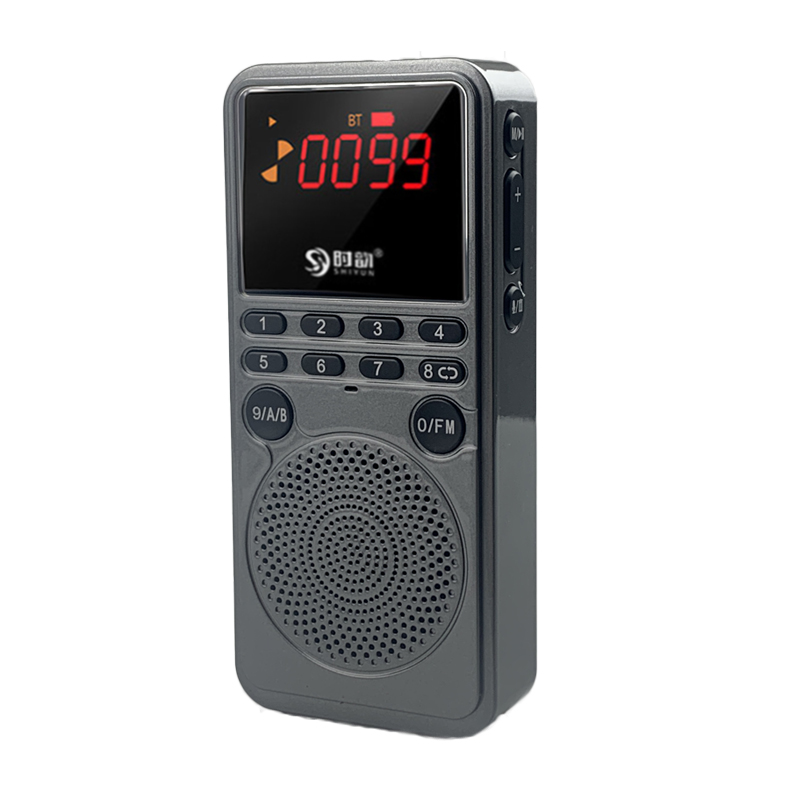 Draagbare Digitale Radio Bluetooth Luidspreker Muziek Speler Met Hd Display Ondersteuning Bluetooth Call Recording Tf Card Oortelefoon Spelen: Grey