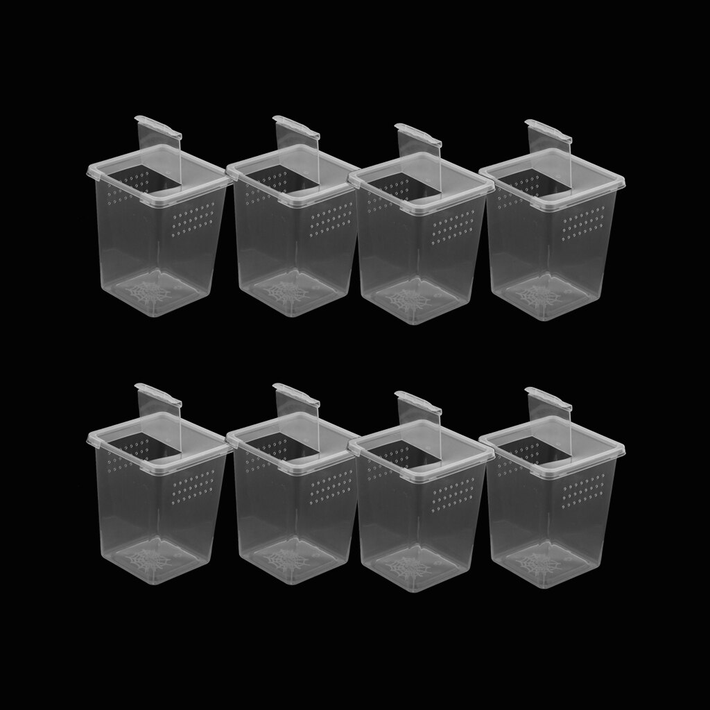6/8/10Pcs Clear Plastic Reptile Insect Spider Habitat Feeding Box Container Hatching Tank Reptile Tank Habitat Case DURABLE