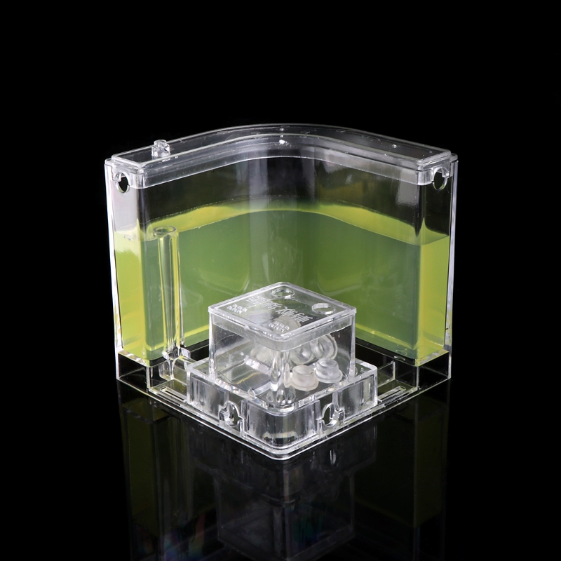 E9LA-laberinto de Gel 3D para granja de hormigas, sistema educativo de alimentación en vivo para guardería, novedad, Habitat,