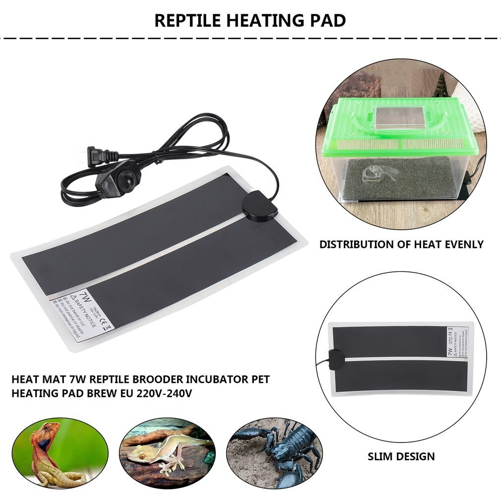 Gadów mata grzewcza inkubator zwierzę domowe poduszka elektryczna regulowany regulator temperatury maty gady dostaw