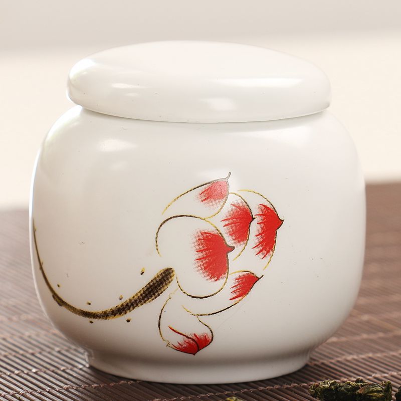 Blauwe En Witte Thee Caddy Keramische Thee Container Kleine Celadon Wit Porselein Verzegelde Thee Opslag Pu'er Draagbare Kung Fu Thee set: 05