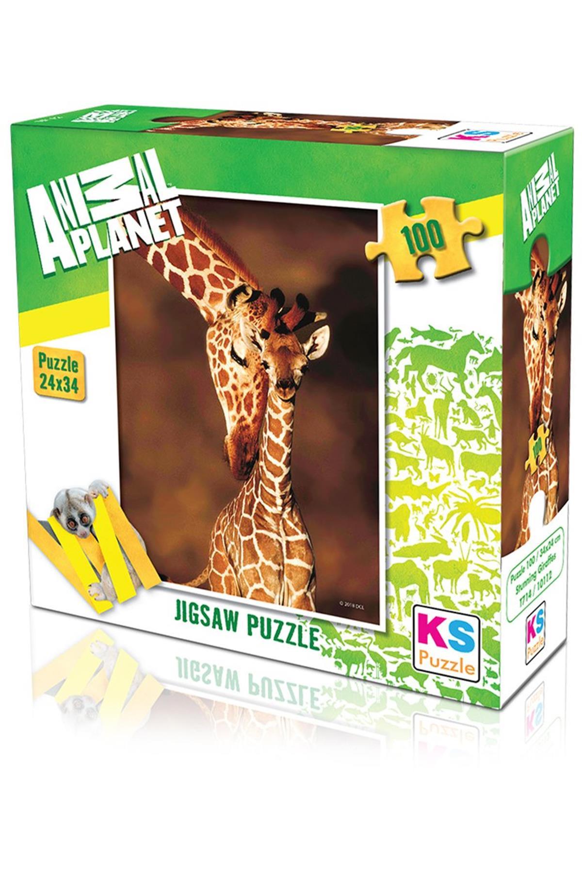 10112 Puzzel 100/Prachtige Graffes 100 Onderdelen