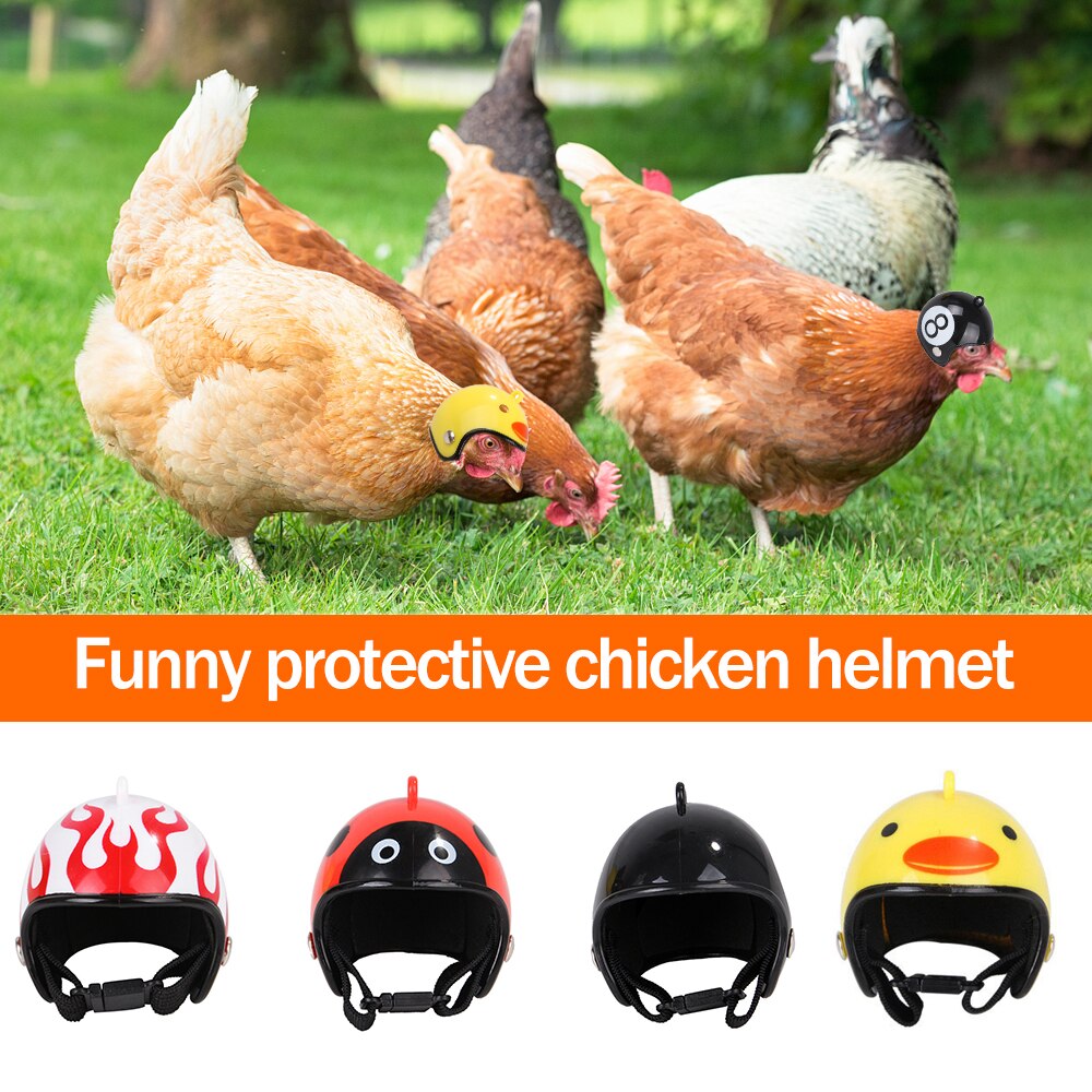 Casque de poulet pour petit animal de compagnie, rigide, avec tête d'oiseau, canard, caille, couvre-chef, protection de la tête