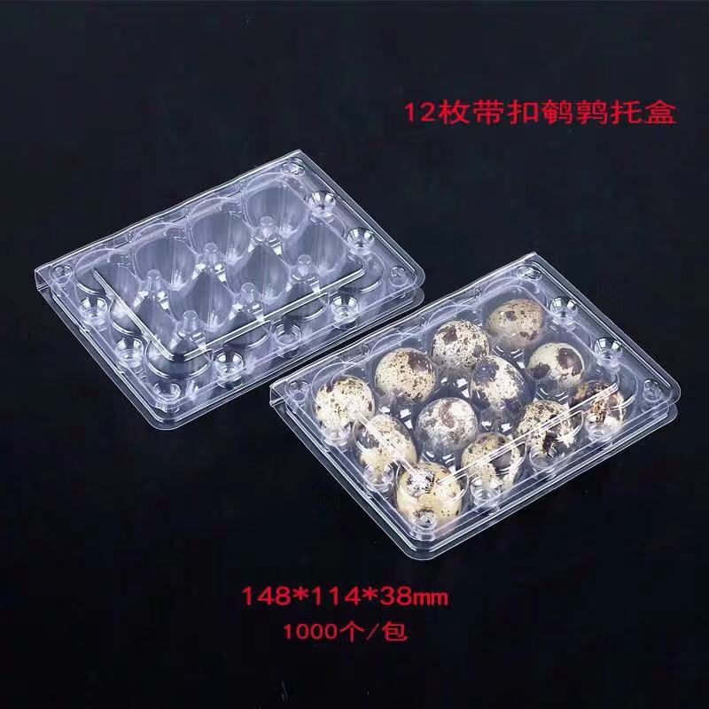 100 stk vaktelegger bulk blanke eggekartonger 12- teller egg plastboks: Default Title
