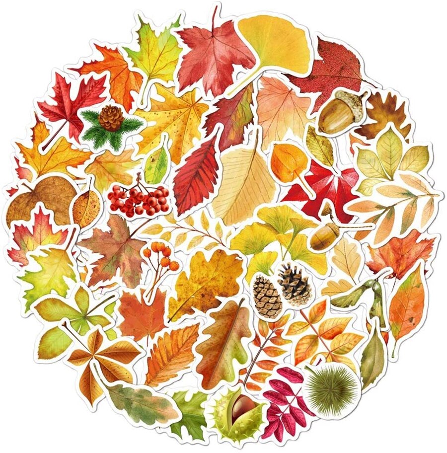 50/100PCS Flowers Leaves Stickers Aesthetic Floral Fall Leaf Plant Waterproof Vinyl Stickers for Scrapbooking Laptop Hydroflasks: 50PCS Leaves