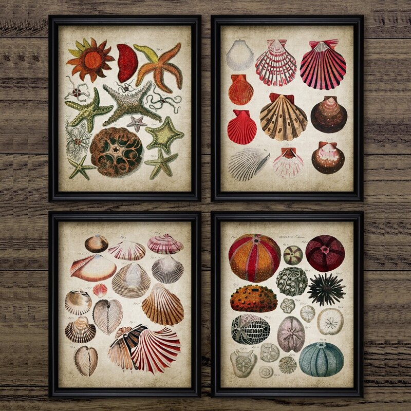 Retro Ocean Biologische Muur Foto Schilderij Vintage Marine Zeester Seashell Retro Poster Poster Kraftpapier