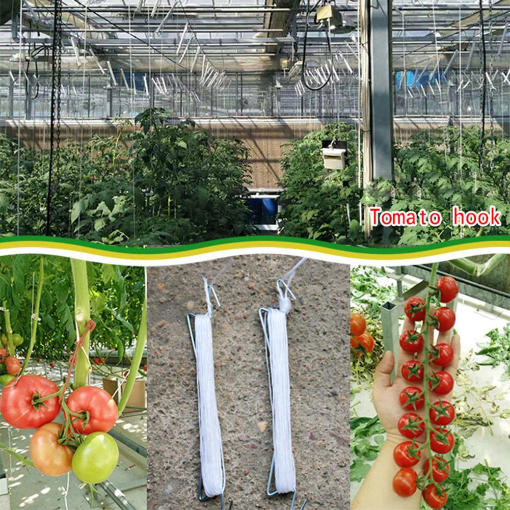 Gancho de tomate horticultura strapping linha crescimento da planta tração corda gancho videira vegetais plantio suprimentos para tomates pepinos