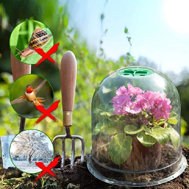 Cloche de protection des plantes en plastique, 34 pièces/ensemble, Mini serre, Anti-gel, accessoires pour fleurs, transparent, 26x21cm