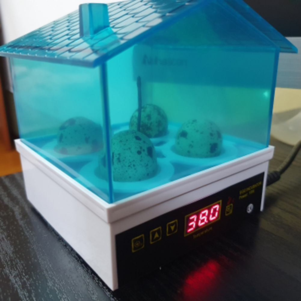 4pcs Egg Inccubator Hatchery Mini Digital Temperature Brooder Farm Brooder Quail Egg Hatcher Incubator Equipment Semi Automatic