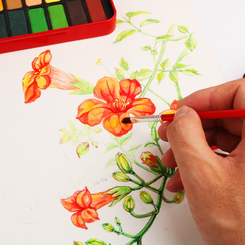 Profesjonalne farby akwarelowe zestaw stałe akwarele Aquarelle skrzynka kolory Sztuka obraz dla artysty narzędzia zestawy farb 18/24 kolorów