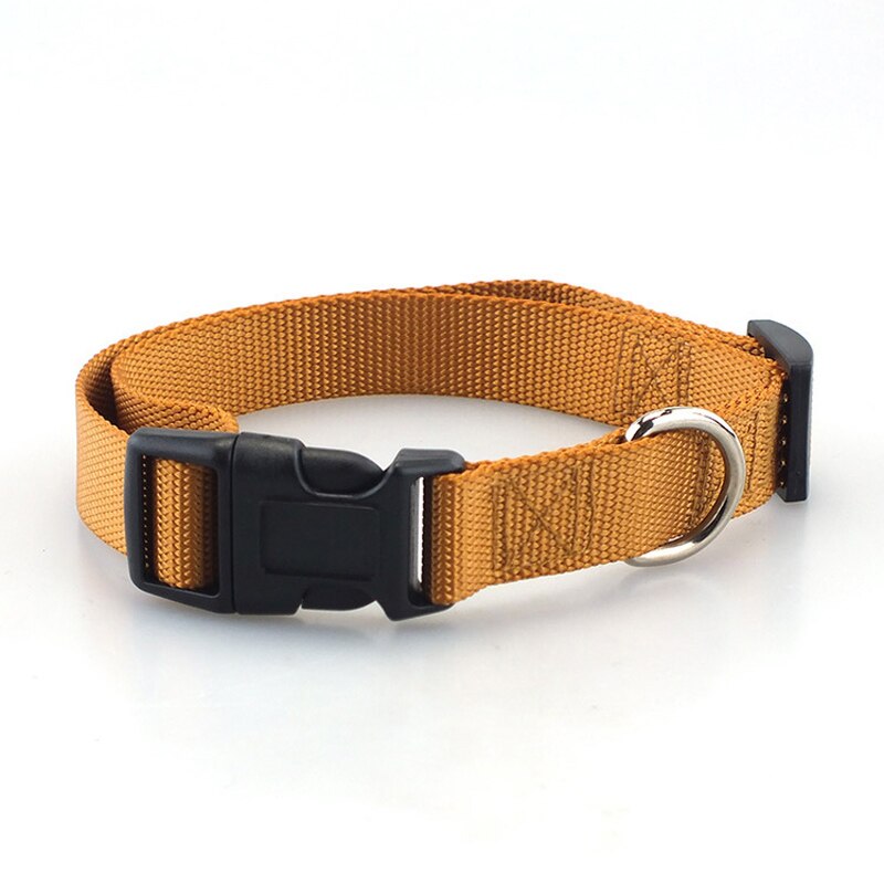 Klassiskt solid hundhalsband för hundar i nylon för små medelstora hundar kan matcha koppel och sele med snabbsnäppspänne: Xs 1.0cm / Brun krage