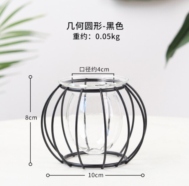 Soportes de Metal para plantas de aire, contenedores de arte del hierro de estilo moderno para cultivo de flores y agua: G