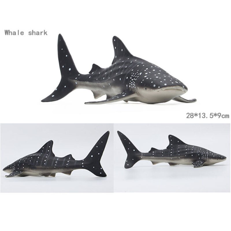 Educational toys for children simulated animal ocean great white shark seabed creatures girls toys for kids school learning: Whale shark