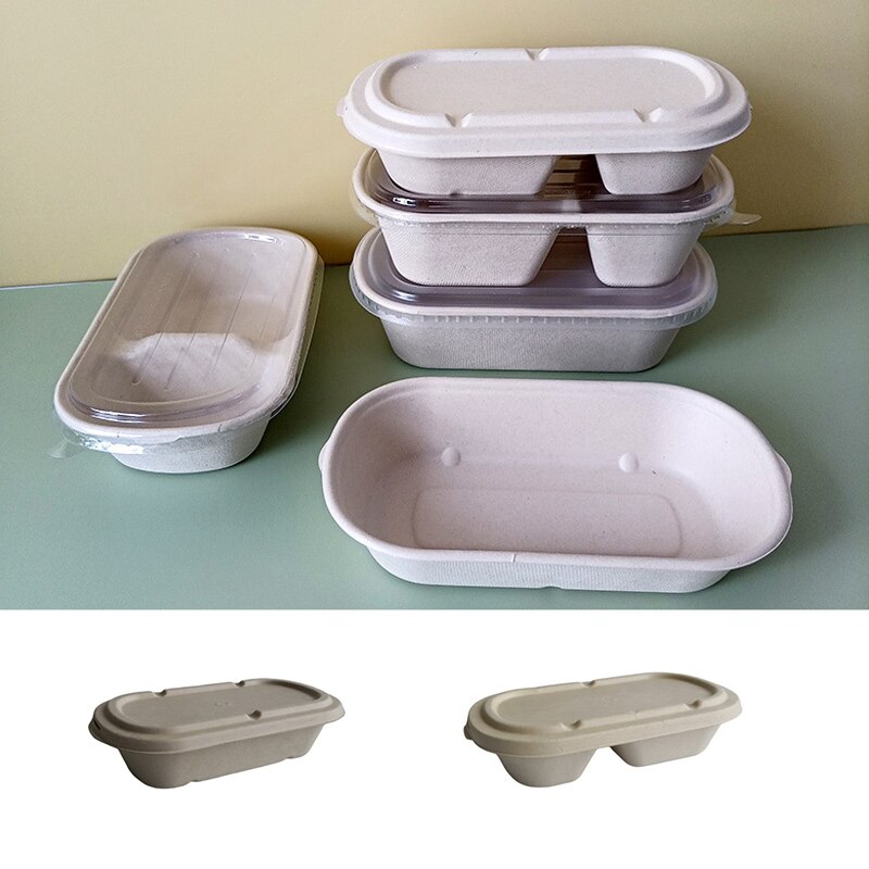 10Pcs Disposable Lunch Box Eco-Friendly Bento Box Bakery Container Fruit Hamburger Cake Meal Prep Packaging Food Container