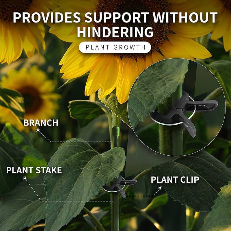 20pcs Plant Vines Fixing Clips grape climbing clip Garden plastic clip Tomato Clamp Plant clip Gardening garden Loofah clip