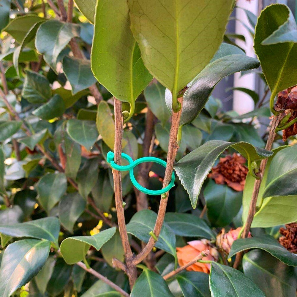 Wiederverwendbare Garten Unterstützung Clip 20/50/100/200 Stück Für Gemüse Anlage Hängen Spalier Reben Verbindet Pflanzen Gewächshaus Garten