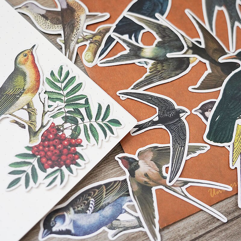 17 Uds pegatinas de aves manualidades y álbumes de recortes adhesivos para juguetes de niño adhesivo decorativo de libro DIY papelería