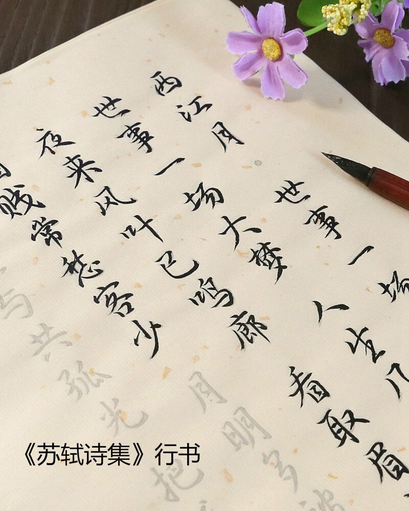 100 Pcs Kalligrafie Copybooks Calligraphie Xuan Papier Gedicht Schrift Beginner Chinese Kleine Reguliere Script Running Script Schrift: E