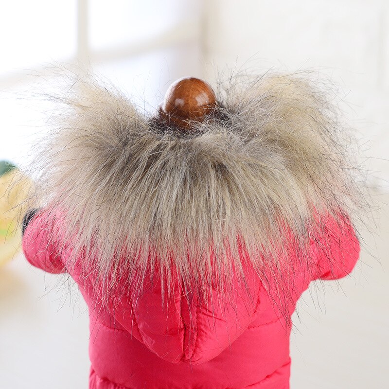 Down Jas Voor Huisdieren Katoenen Jas Herfst En Winter Puppy Jas Twee-Legged Katoenen Jas Voor Kleine Honden