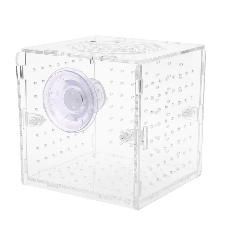 Acrylic Aquarium Fish Breeding Isolation Box With Sucker for Baby Fish Hatchery Incubator Cage: L29K-02