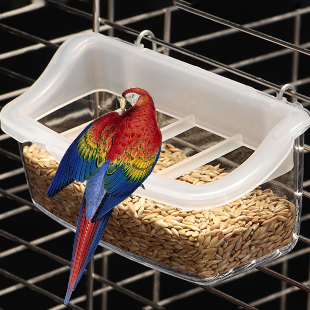 Hler-Mangeoire à oiseaux transparente avec grille anti-éclaboussures, mangeoire à oiseaux durable, accessoire pour animaux de compagnie