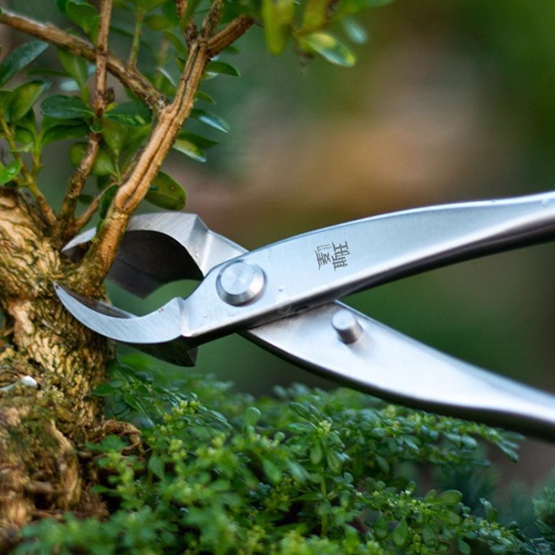 1 x Edelstahl-Bonsai-Werkzeug, Knopfschneider, Sch...  Grandado