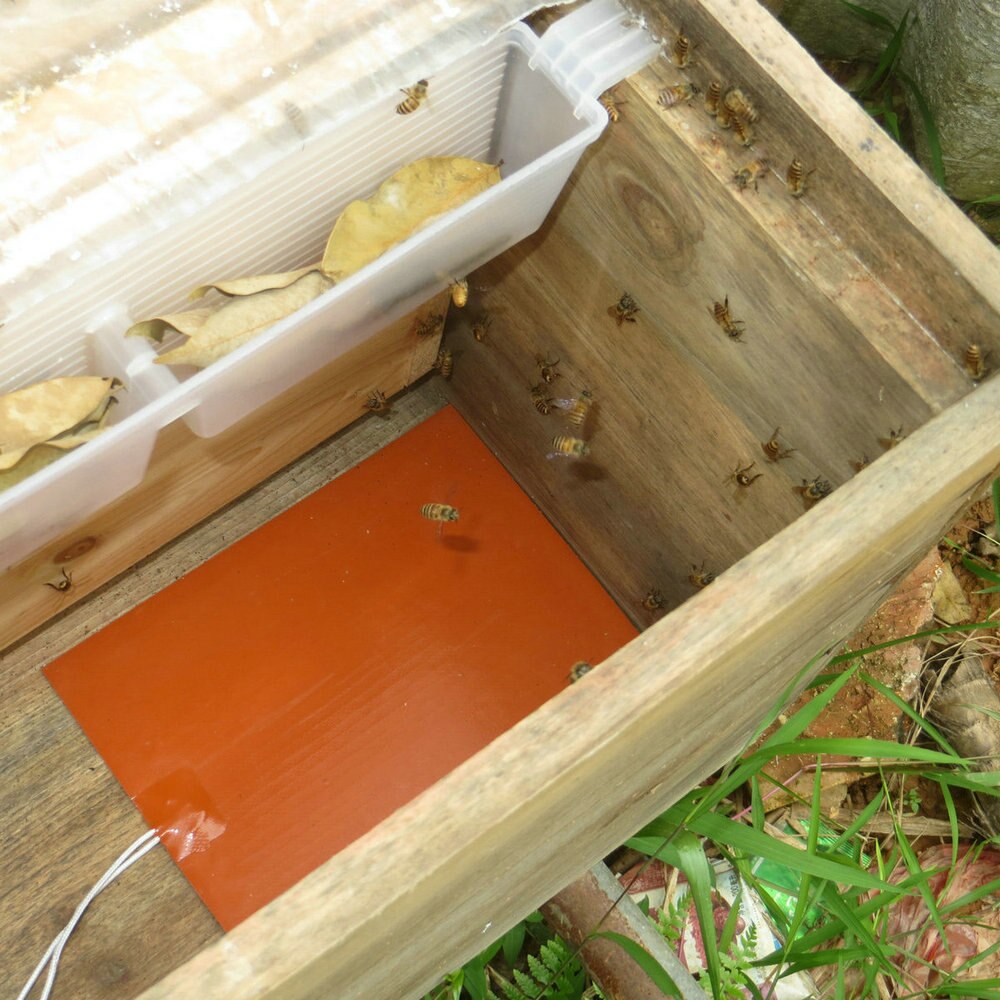 Hive Electric Heater Plate Beehive Silicone Heating Mat 12V 20W Heating Baking Mats Save Honey Beekeeper Bee Keeping Equipment