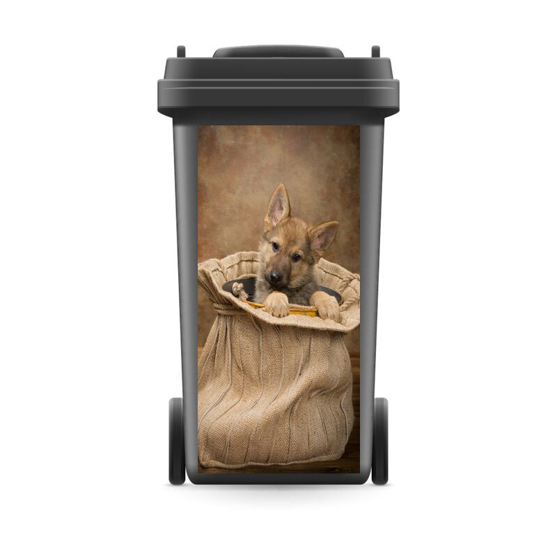 Modern Renew Rubbish Bin Sticker Vinyl Removable Waterproof Sticker Decals Ktichen Accessories Home Decoration: 3 / 31x70cm(For120liter)