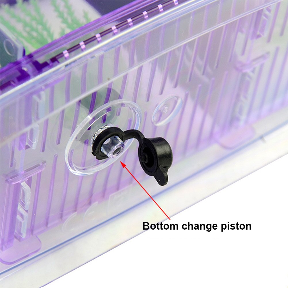 Mini liten akvarium akvarium med gräs akrylplast för hemmakontor  gq999