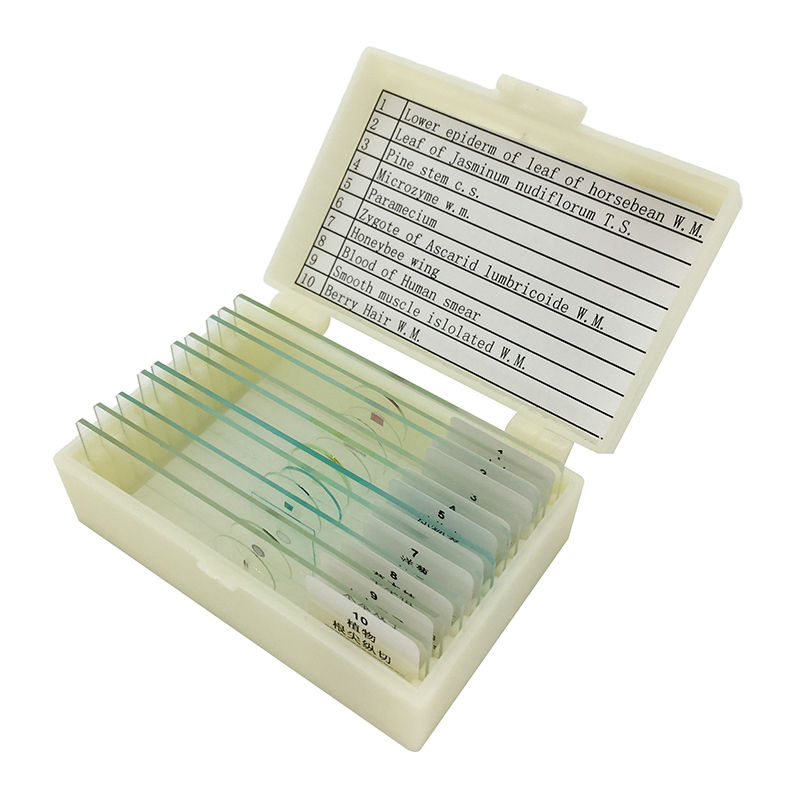 10PCS Prepared Glass Microscope Slides Biological Specimen for Biological Microscope Science Education Teaching