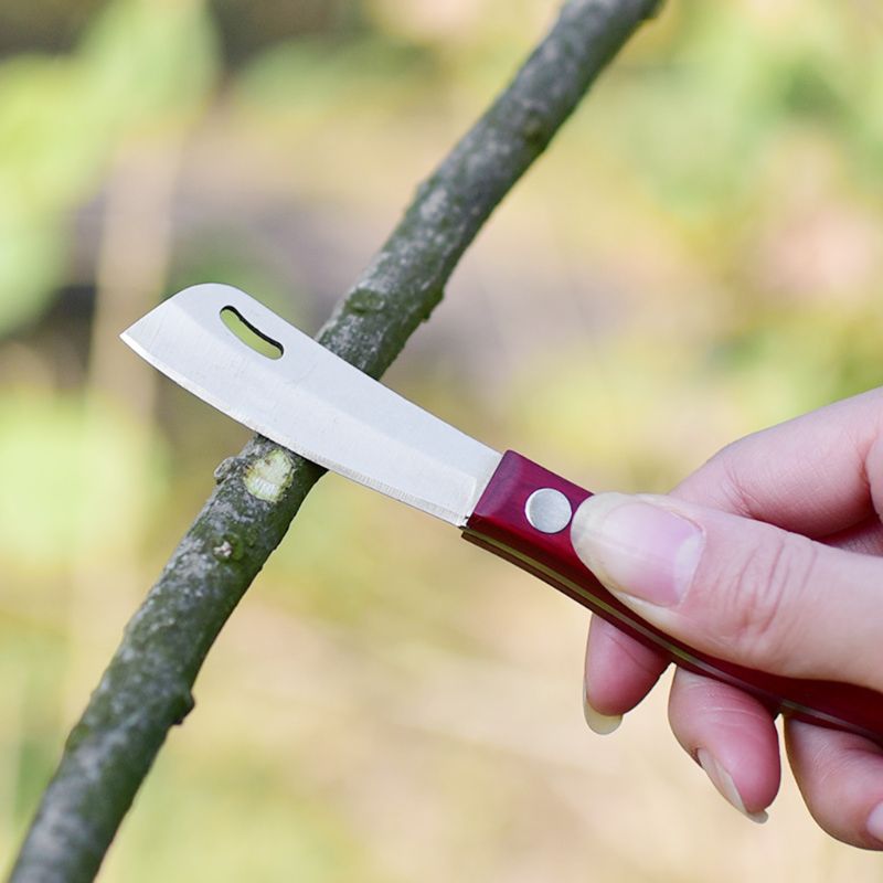 Beskæring pode kniv knop kniv frugt skære træ plukke træ kniv havearbejde bonsai saks frøplante værktøjer