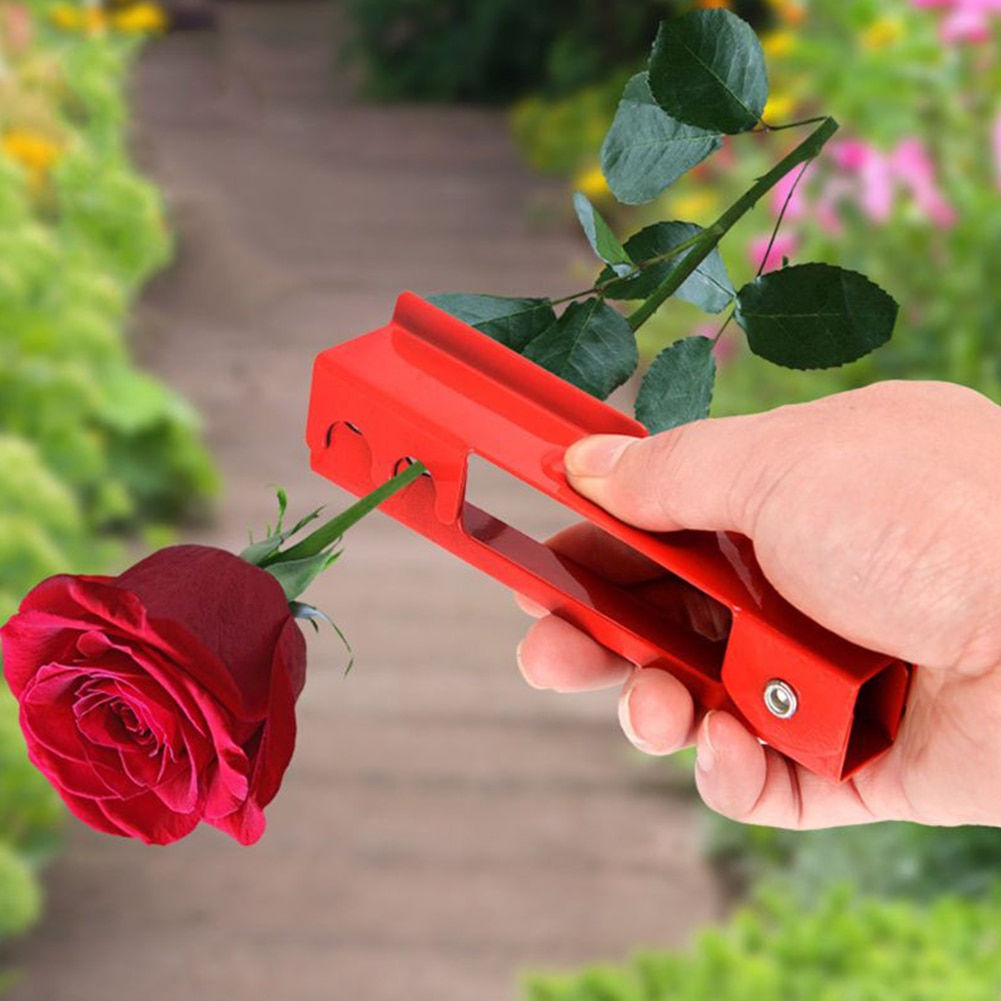 Outil de décapage pour Arrangement de fleurs de Rose | Décapant de feuille d'épines de maison et de jardin, outil de plantation