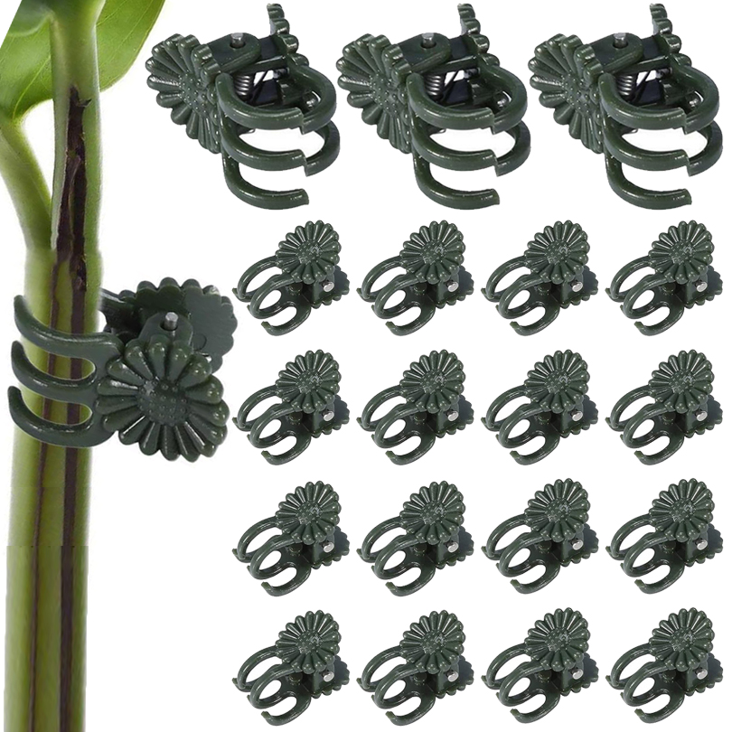 Gartenpflanzenklammern, Pfropfklammern, Stützklammern, gebundene Rankenklammern, Blumen, Obst, Gemüse, Schmetterling, Orchidee, spezielle Clips