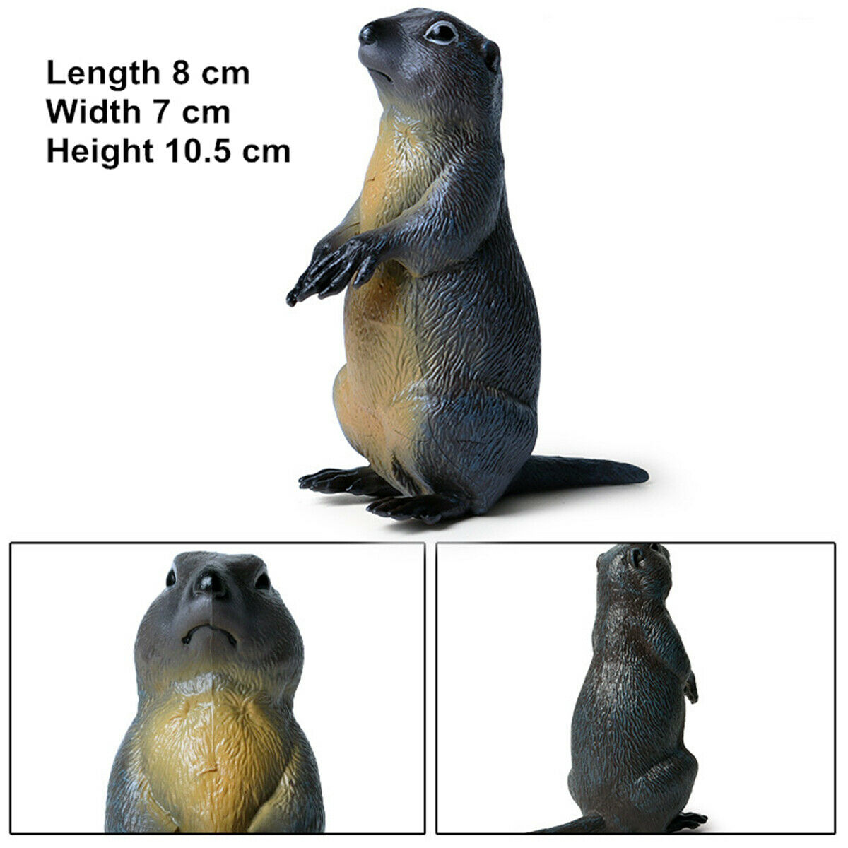 Simulatie Marmot Prairie Hond Muis Eekhoorn Chipmunk Figuur Dier Collector Kid Decor Speelgoed Model Speelgoed Voor Kinderen