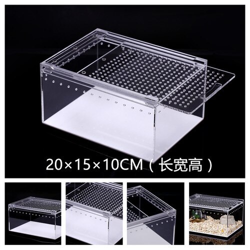 1PCS 4 Size Acrylic Reptile Feeding Box Insect Box Praying Mantis Reptile Home Insect Cage Reptile Terrariums: 20x15x10CM