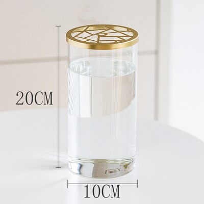 Nordic Transparent Glass Vase Golden Grid Cover Living Room Flower Arrangement Ikebana Decoration Desktop Hydroponic Plants Tool: P