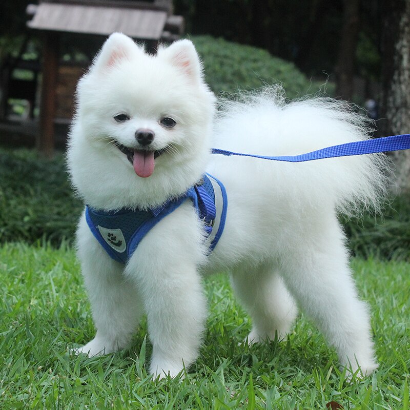 Pet Dog Reflective Harness Leash Escape Proof Pet Clothes Kitten Puppy Dogs Vest Adjustable Easy Control Reflective Cat Harness